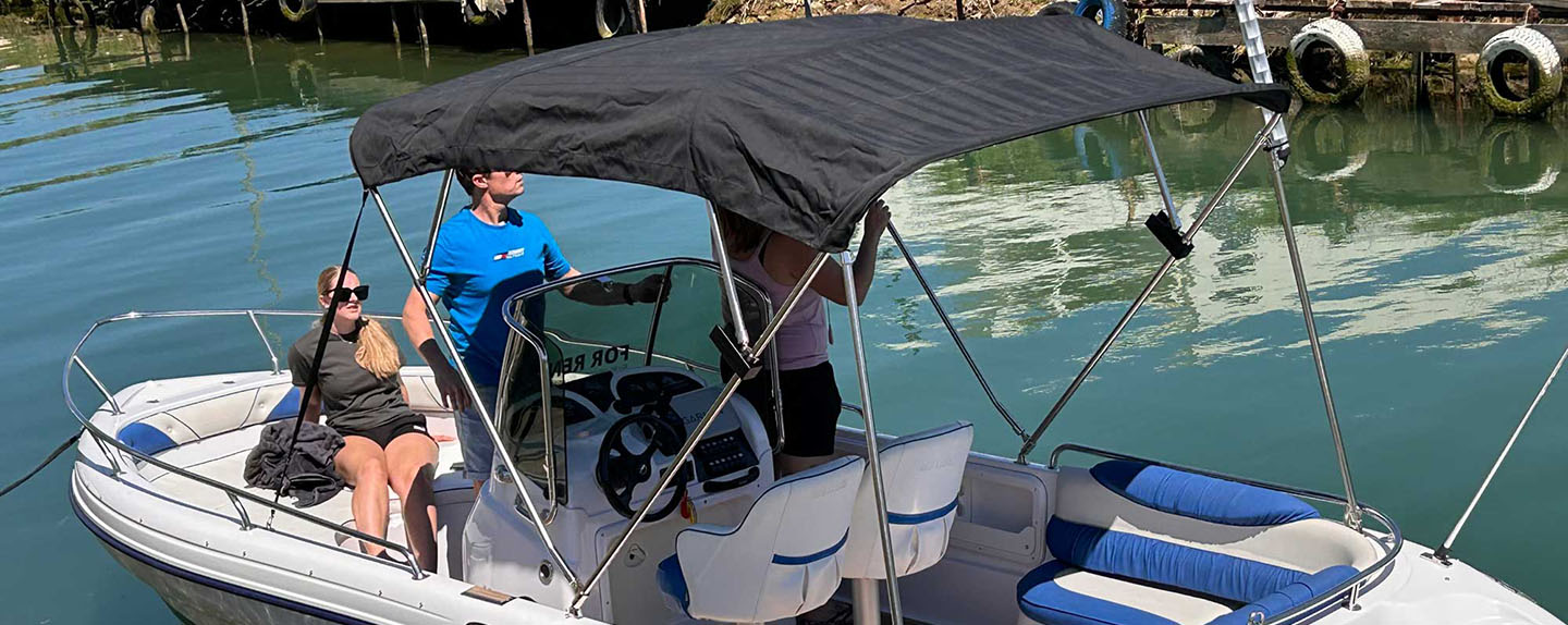 Rent a boar Nin Raineri